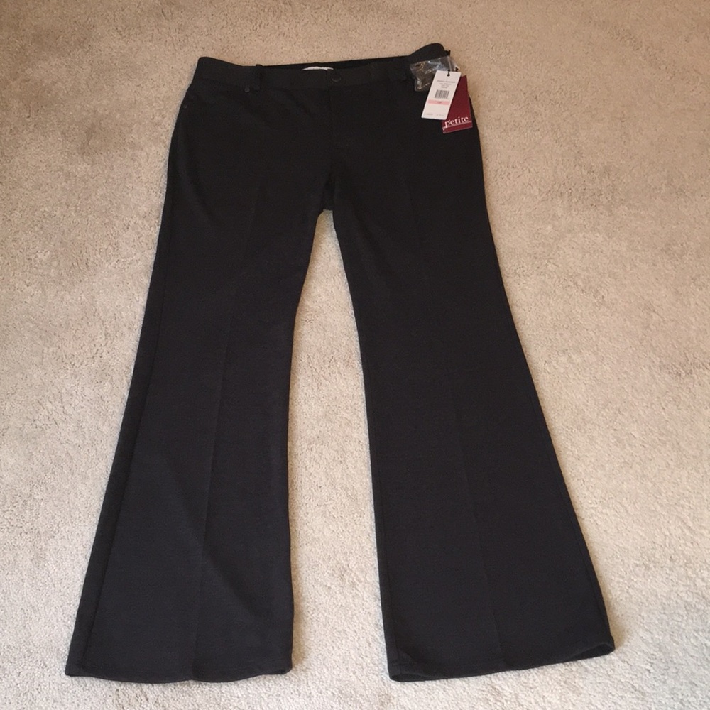 Calvin Klein-NWT-Lady’s Pants-Size 10P-Charcoal Gray